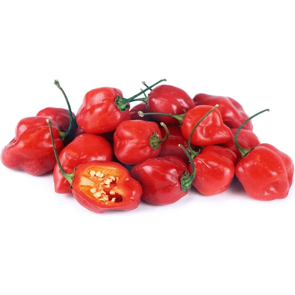 Pepper Seed Habanero Pepper Seeds, 100 Seeds Heirloom, Non-GMO, Great Fresh and Cooked