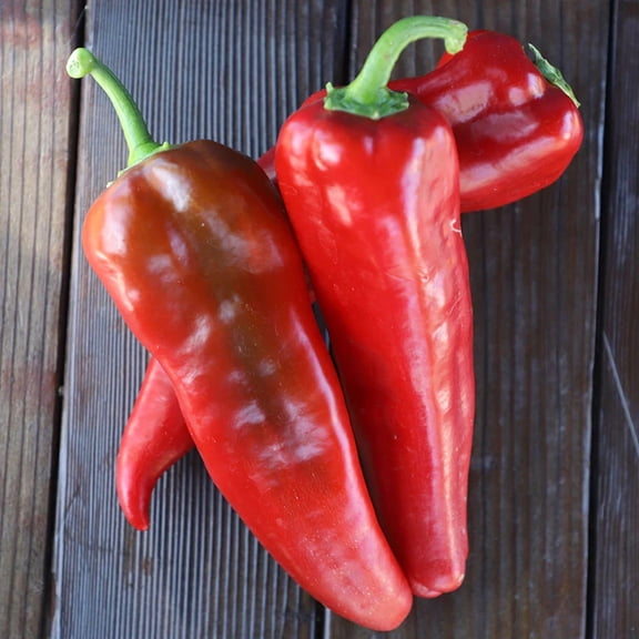 Pepper Seeds - Carmen Untreated Non-GMO Variety Pepper Seeds - Non-GMO - 50 Seeds