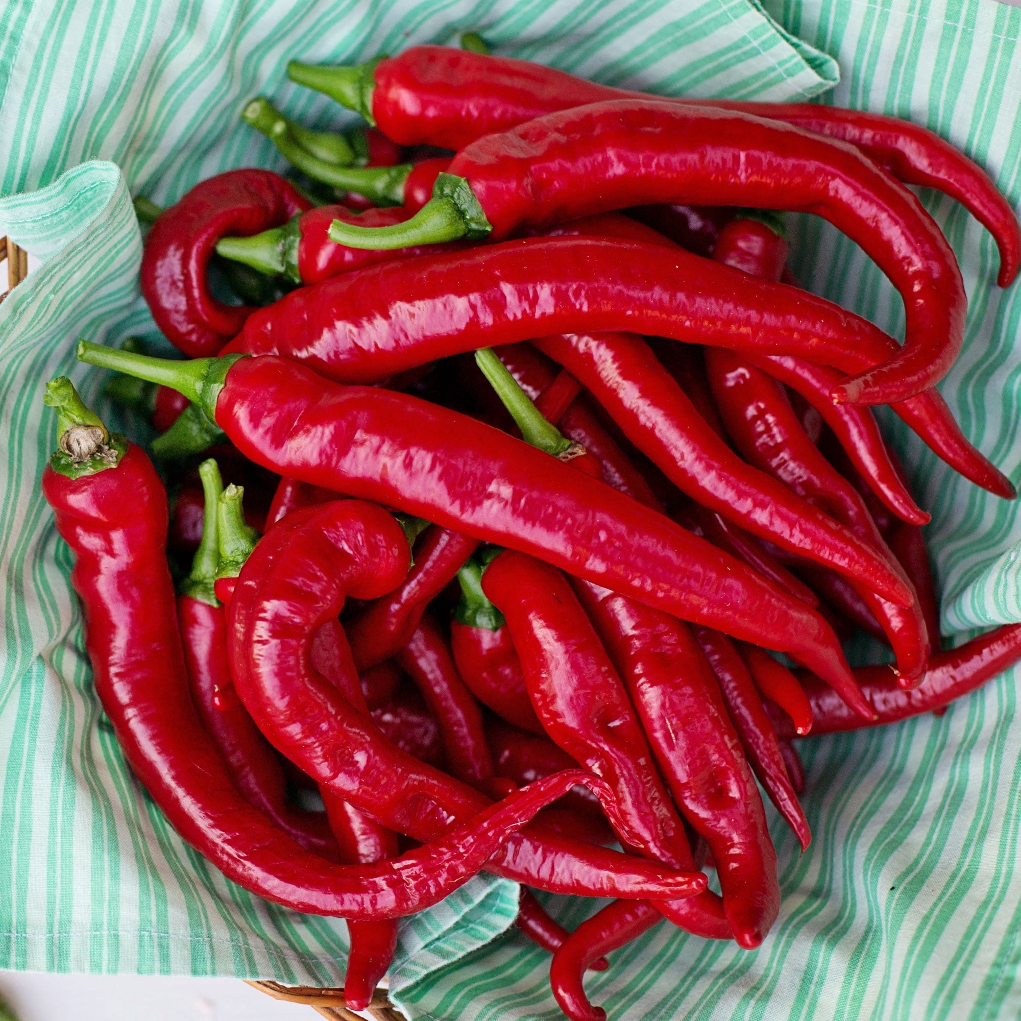 Pepper Seeds - Hot - Cayenne Thick - 4 Oz ~20,000 Seeds - Capsicum annuum - Farm & Garden Vegetable Seeds - Non-GMO, Heirloom, Open Pollinated, Annual