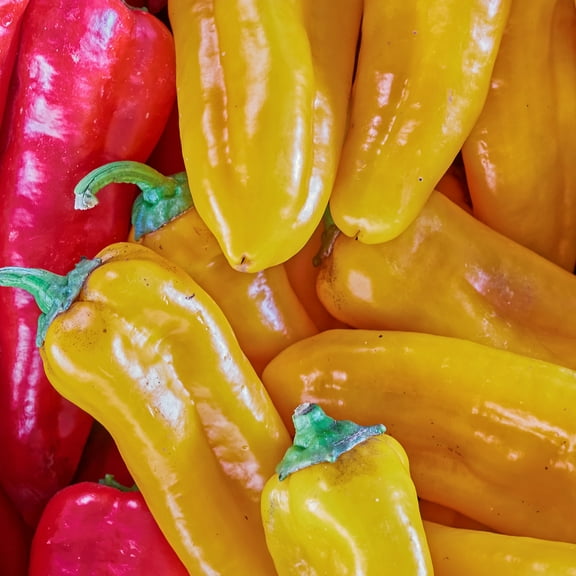 Pepper Seeds - Hot - Golden Treasure Hot - F1 - 0.25 Oz ~1,250 Seeds - Capsicum annuum - Farm & Garden Vegetable Seeds - Non-GMO, Hybrid, Annual