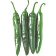 thumbnail image 1 of Kitazawa Seed Company Green Pepper Plant Seeds, GMO Free, 1 of 1