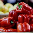 thumbnail image 1 of Pepper Seeds - Sweet - Cal Rose - Red - 1 Oz ~5,000 Seeds - Capsicum annuum - Farm & Garden Vegetable Seeds - Non-GMO, Heirloom, Open Pollinated, Annual, 1 of 1