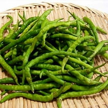 Pepper Seeds - Sweet - Himo Togarashi - 500 Mg Packet ~50 Seeds - Non-GMO, Heirloom - Asian Garden Vegetable