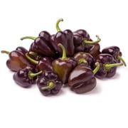 Pepper Seeds - Sweet - Minature Chocolate Bell - 500 Mg Packet 90 Seeds - Capsicum annuum - Farm & Garden Vegetable Seeds - Non-GMO, Heirloom, Open Pollinated, Annual