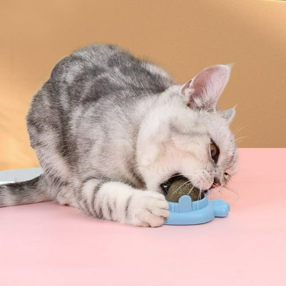 Peppermint Catnip Balls - Self-Spinning Licking Toy with Wall Clamp, Natural Catnip Infused for Oral Health & Fresh Breath, Interactive Toy for Indoor Cats(Blue)