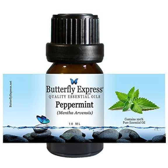 Peppermint (Mentha arvensis) Essential Oil 10ml - 100% Pure - by Butterfly Express