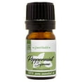 thumbnail image 1 of Peppermint (Mentha piperita) Essential Oil - 1/6 fl oz (5 ml) Glass Bottle w/ Euro Dropper - 100% Pure Essential Oil by GreenHealth, 1 of 7
