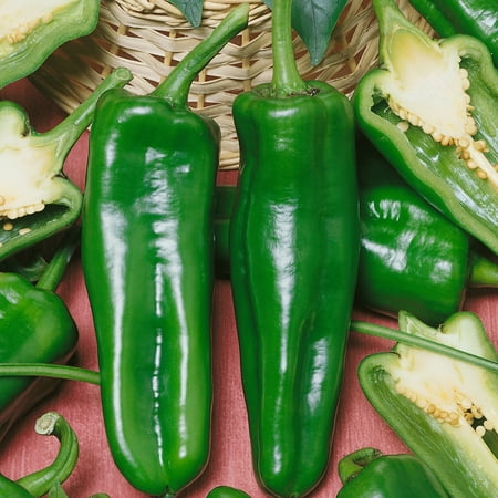 Pepperoncini Pickling F1 Hybrid Sweet Pepper Seeds - 300 Mg Packet ~40 Seeds - Non-GMO, F1 Hybrid - Vegetable Garden - Capsicum annuum