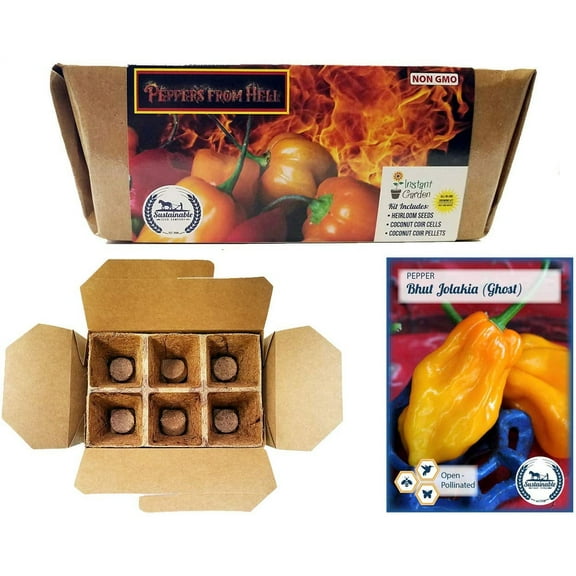 Peppers from Hell Seed Starter Kit - Includes Non-GMO Heirloom Ghost Pepper Seeds and 6-Pack Coconut Coir Grow Kit by Sustainable Seed Company (Ghost Peppers)