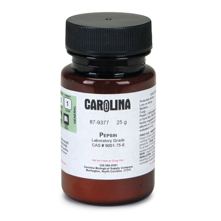 Pepsin, Laboratory Grade, 25 Grams