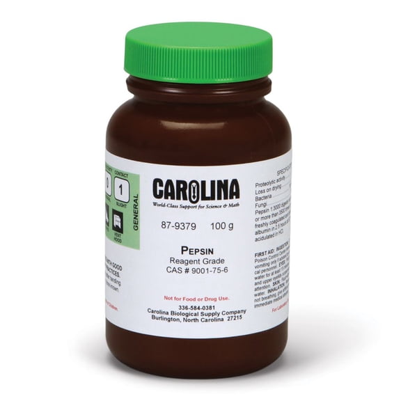 Pepsin, Reagent Grade, 100 G, Gastric Juice Enzyme