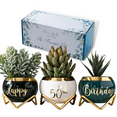thumbnail image 2 of Personalised Silver Trinket Box - 40th 50th Birthday Gift Idea For Auntie, Mum, Women 2 of 6