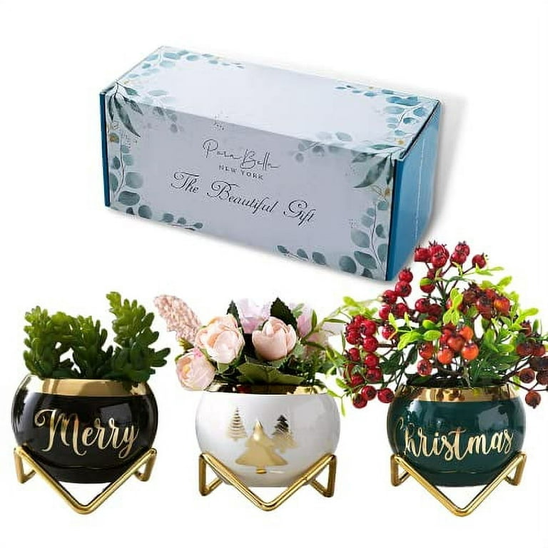 https://i5.walmartimages.com/seo/PeraBella-Gifts-Christmas-Mom-Presents-Christmas-Succulent-Tree-Planters-Mom-Gifts-Aunt-Bestie-Sister-Grandma-Her-Merry-Pots_dfdd6417-0ca8-4cc2-a0b6-fc6b0e460f0c.fd8c028c5847366cf115f16aa4574d31.jpeg?odnHeight=768&odnWidth=768&odnBg=FFFFFF