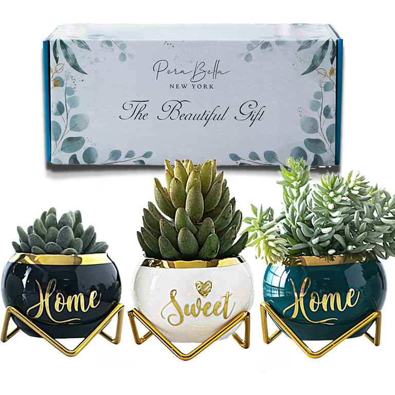 Perabella House Warming Gifts New Home, Housewarming Presents Women Couple | Living Room Home Decor Farmhouse Decor, Coffee Table Decor, New Home