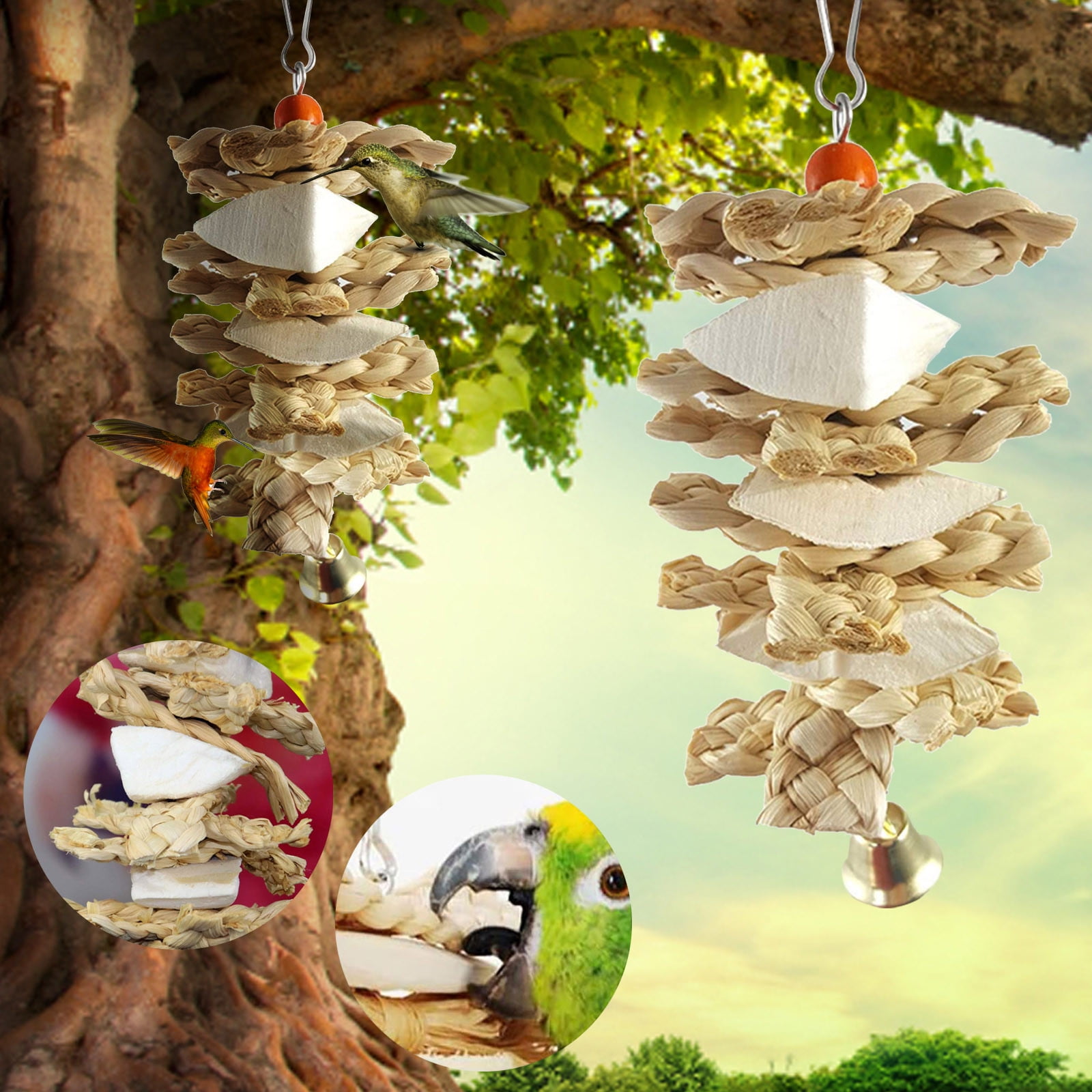 Perches for Parrots Cuttlefish Bones, Parrot Cewing Cuttlefish Bones