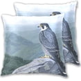 thumbnail image 1 of Peregrine Falcon Graphic Design Throw Pillow Covers 20x20 Inch 2 Packs Decorative Square for Living Room Couch Bed Sofa, 1 of 6