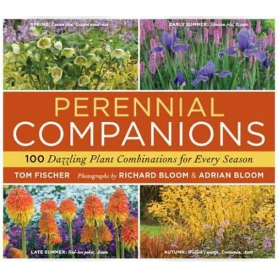 Pre-Owned Pernnial Companions (Paperback) by Tom Fischer