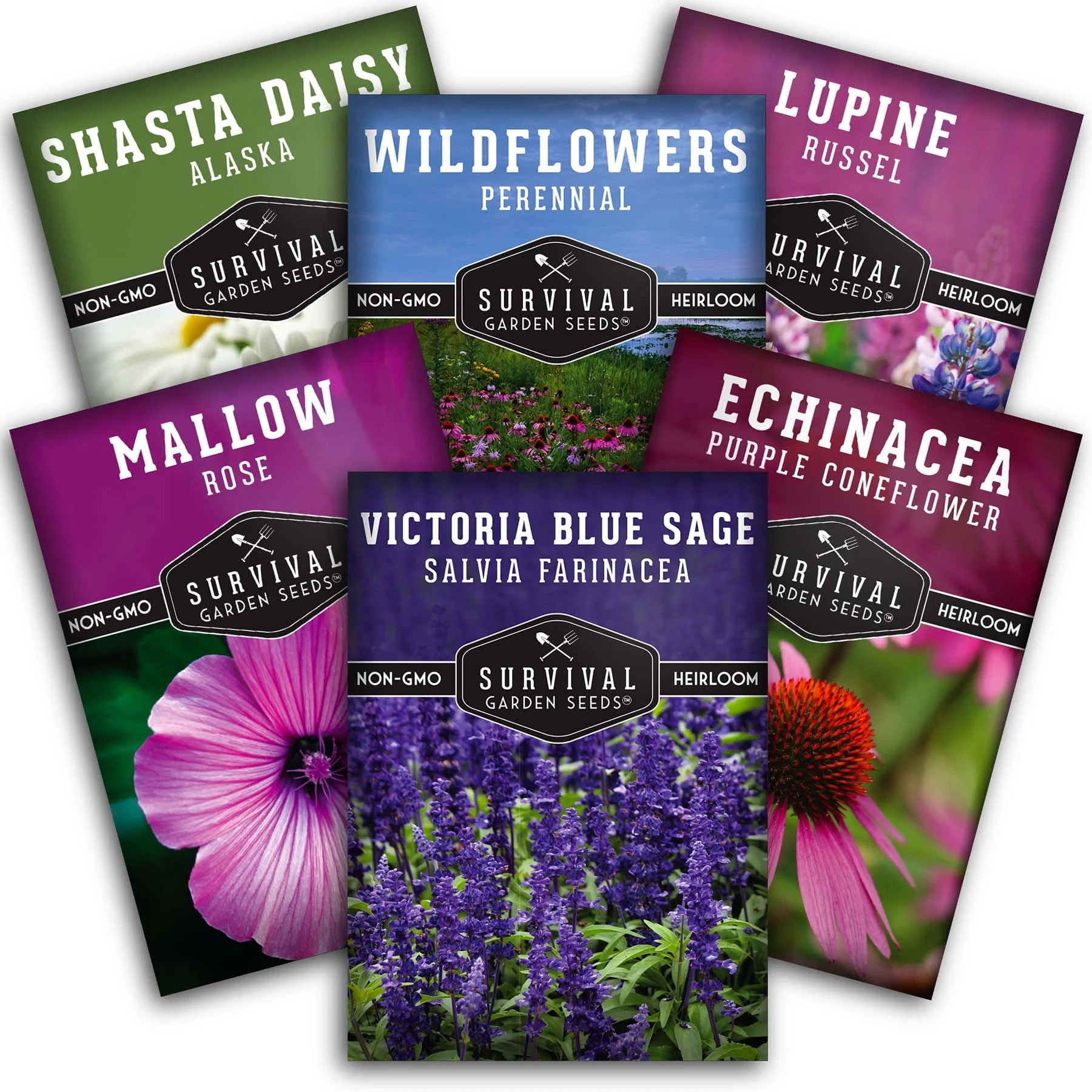 Perennial Flowers Seed 6 Pack Shasta Daisy, Echinacea, Russell Lupine