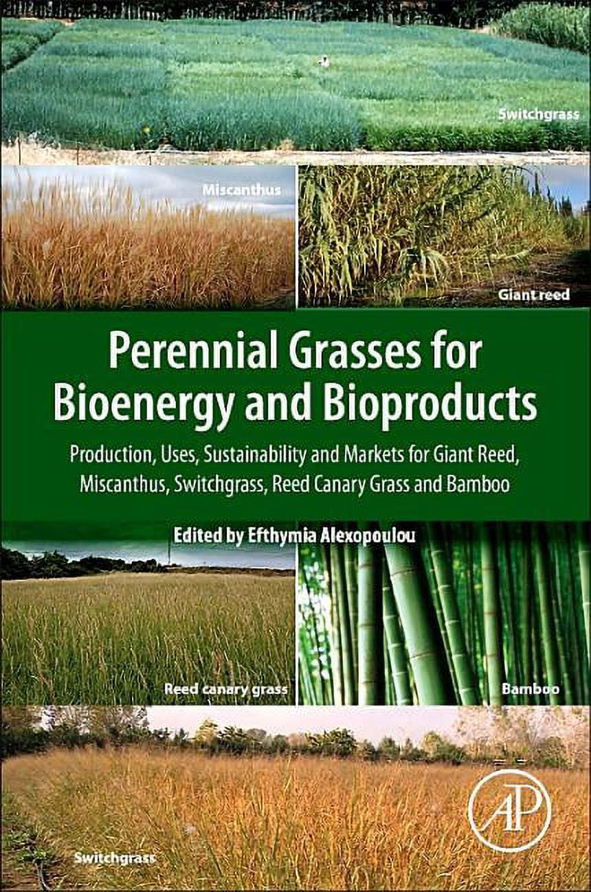 Perennial Grasses for Bioenergy and Bioproducts: Production, Uses ...