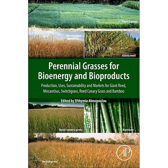 Perennial Grasses for Bioenergy and Bioproducts: Production, Uses, Sustainability and Markets for Giant Reed, Miscanthus, Switchgrass, Reed Canary Grass and Bamboo (Paperback)