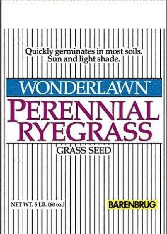Perennial Ryegrass Grass Seed