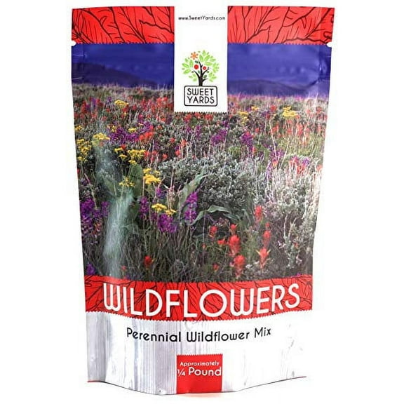 Perennial Wildflower Seeds Mixture - Bulk 1/4 Pound Bag - Over 60,000 Pure Live Seed - Open Pollinated and Non GMO