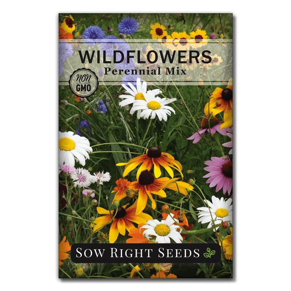 Perennial Wildflower Seeds - Non GMO Heirloom Varieties for Planting