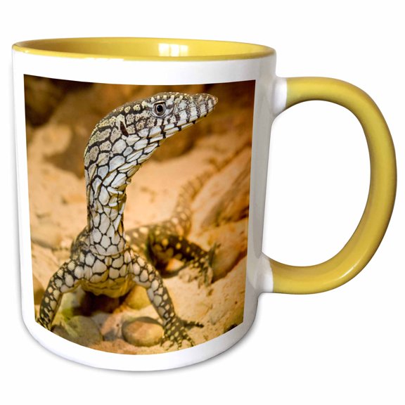 3drose, Perentie Monitor Lizard, Central Australia - Na02 Dno0698 - David Northcott, 11oz Two-tone Yellow Mug