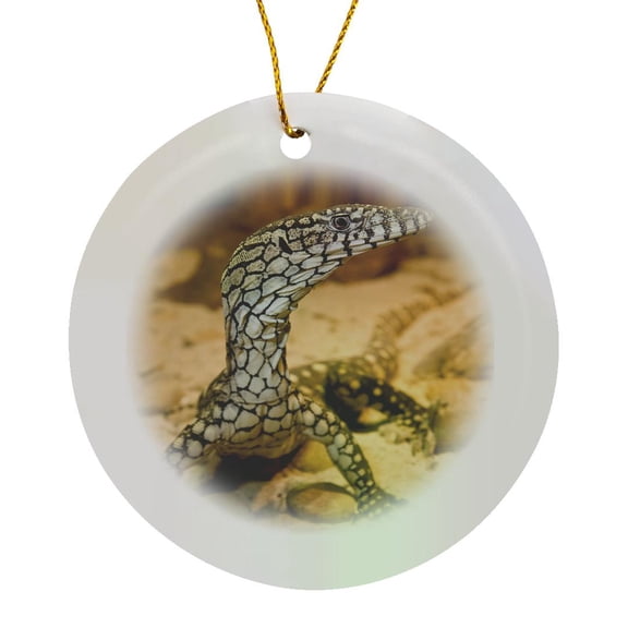 3drose, Perentie Monitor Lizard, Central Australia - Na02 Dno0698 - David Northcott, Circle Porcelain Ornament