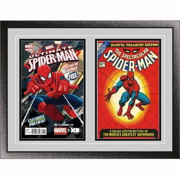 Perfect Cases Double Comic Book Frame with Classic Moulding
