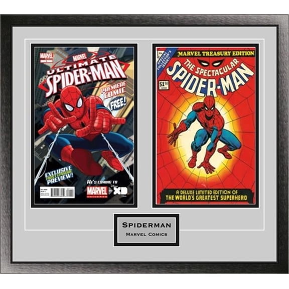 Perfect Cases Double Comic Book Frame with Engraving in Classic Moulding