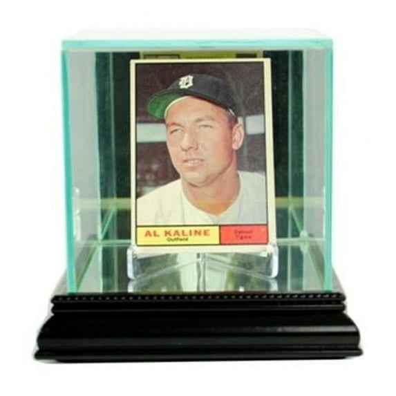Perfect Cases Single Card Display Case, Black
