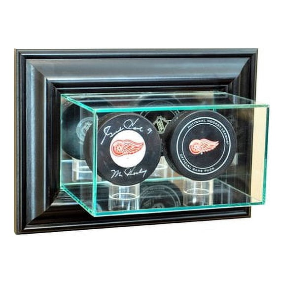 Perfect Cases and Frames Wall Mounted Double Puck Display Case
