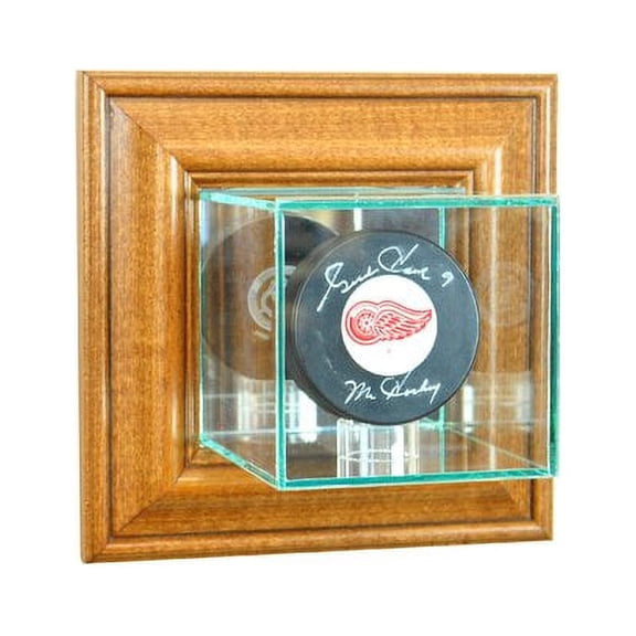 Perfect Cases and Frames Wall Mounted Single Puck Display Case