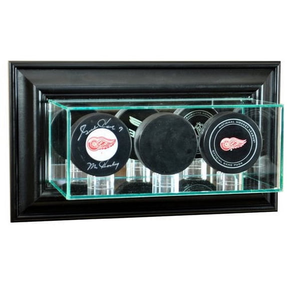 Perfect Cases and Frames Wall Mounted Triple Puck Display Case