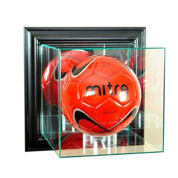 Perfect Cases and Frames Wall Mounted Volleyball Case