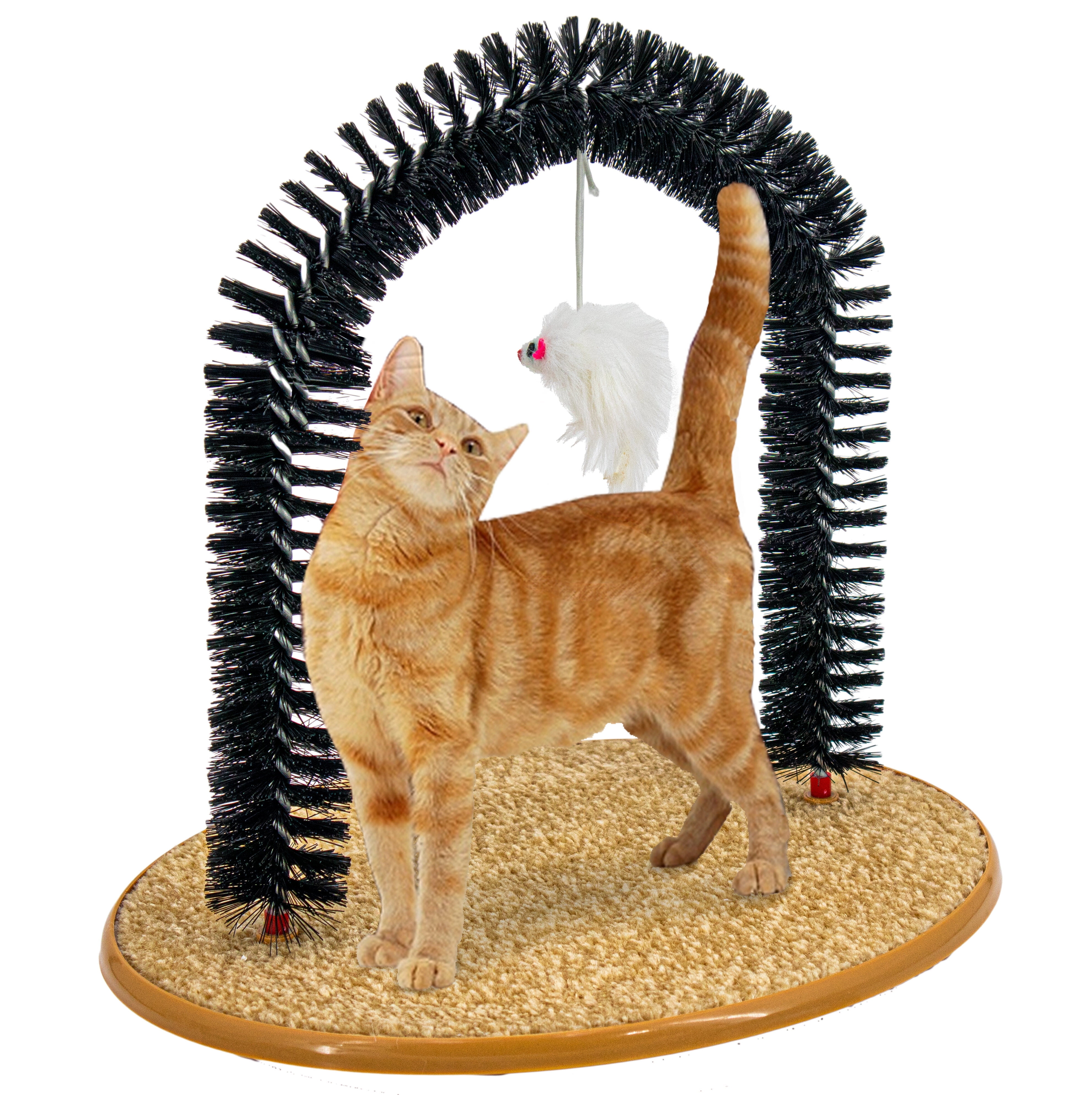 Self brushing cheap cat toy