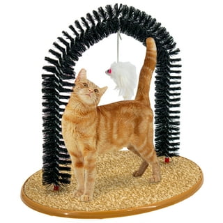 Cat Brush Toy