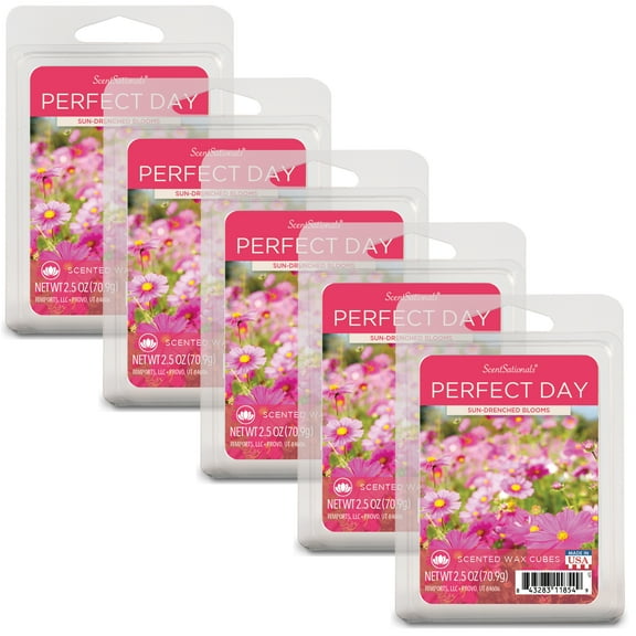 Perfect Day Scented Wax Melts, ScentSationals, 2.5 oz (5-Pack)