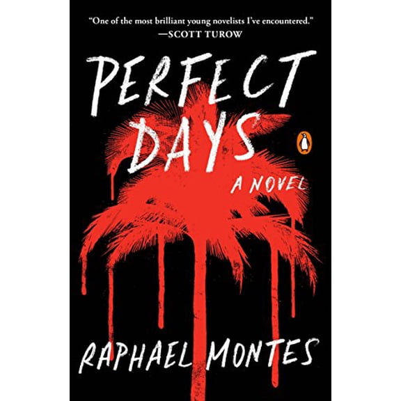 Pre-Owned Perfect Days (Paperback) 0143129996 9780143129998