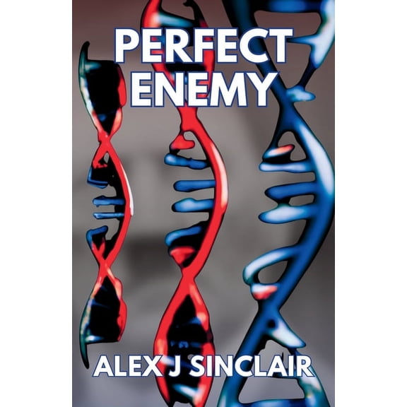 Perfect Enemy, (Paperback)