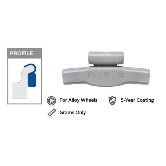 Perfect Equipment 10 g Coated Mag Wheel Weight, Box of 25