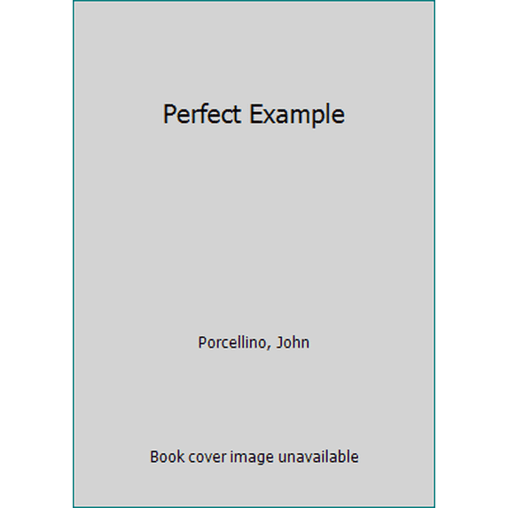 Pre-Owned Perfect Example (Paperback) 0966536355 9780966536355