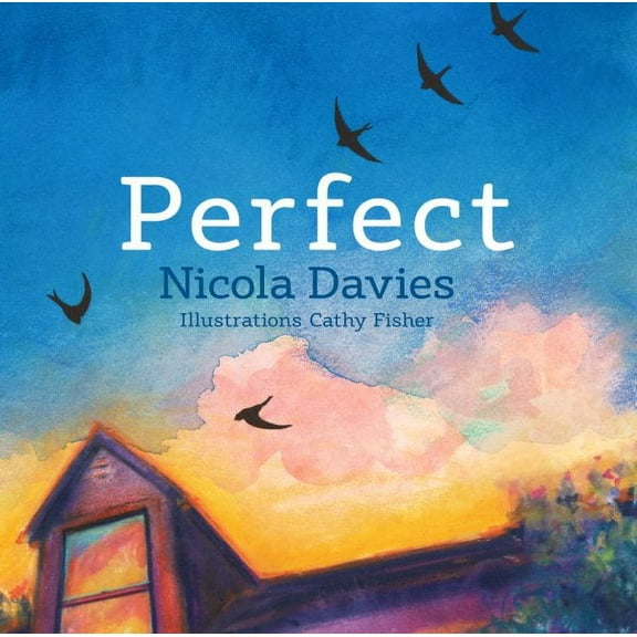Perfect (Hardcover)