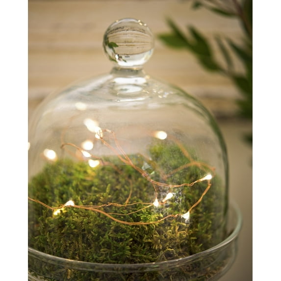 Perfect Holiday 20 Warm White LED Wire Copper String Light, 7ft Length, for Christmas, Indoor, Wedding