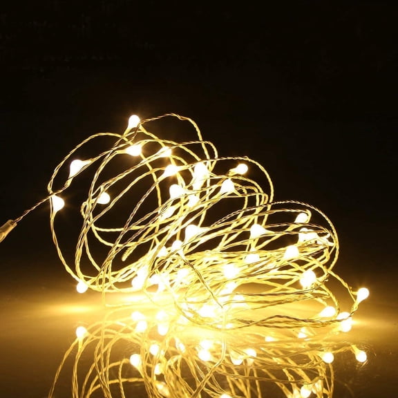 Perfect Holiday 40 LED 14ft Timer Copper String Fairy Lights Battery Operated - Warm White