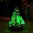 thumbnail image 1 of Perfect Holiday 600017 Battery Operated Copper 20 LED String Light - Green, 1 of 5
