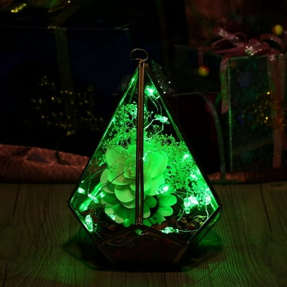 Perfect Holiday 600017 Battery Operated Copper 20 LED String Light - Green