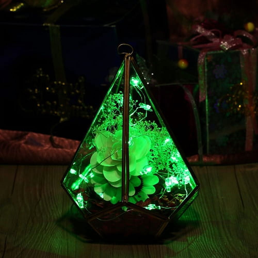 Perfect Holiday 7ft, 20 Green LED Starry String Fairy Lights Copper LED ...