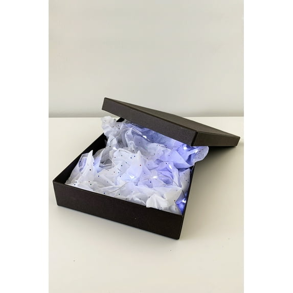 Perfect Holiday Brand Gift Box Fairy Lights Pressure Activated - 10 LED or 20 LED, White 20 LED